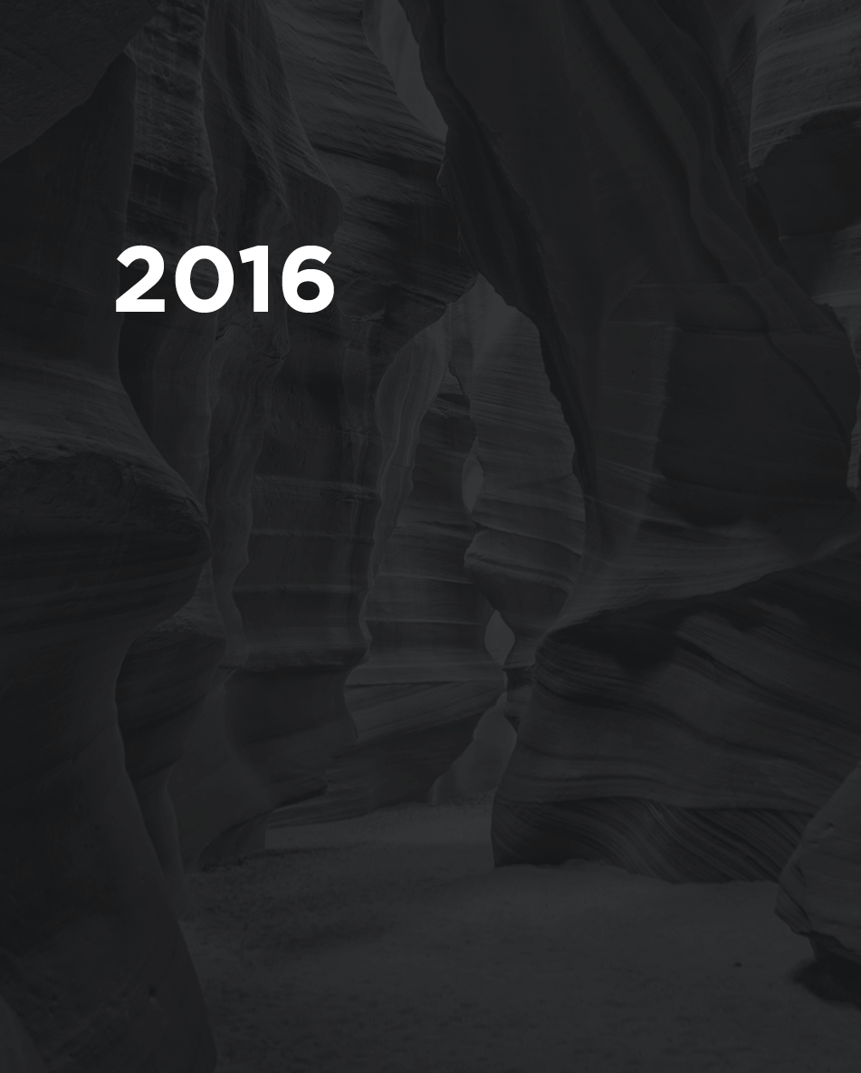 DDC develops two additional subsidiaries, BRIC, an environmental services company, and Diné Source, an IT services company.