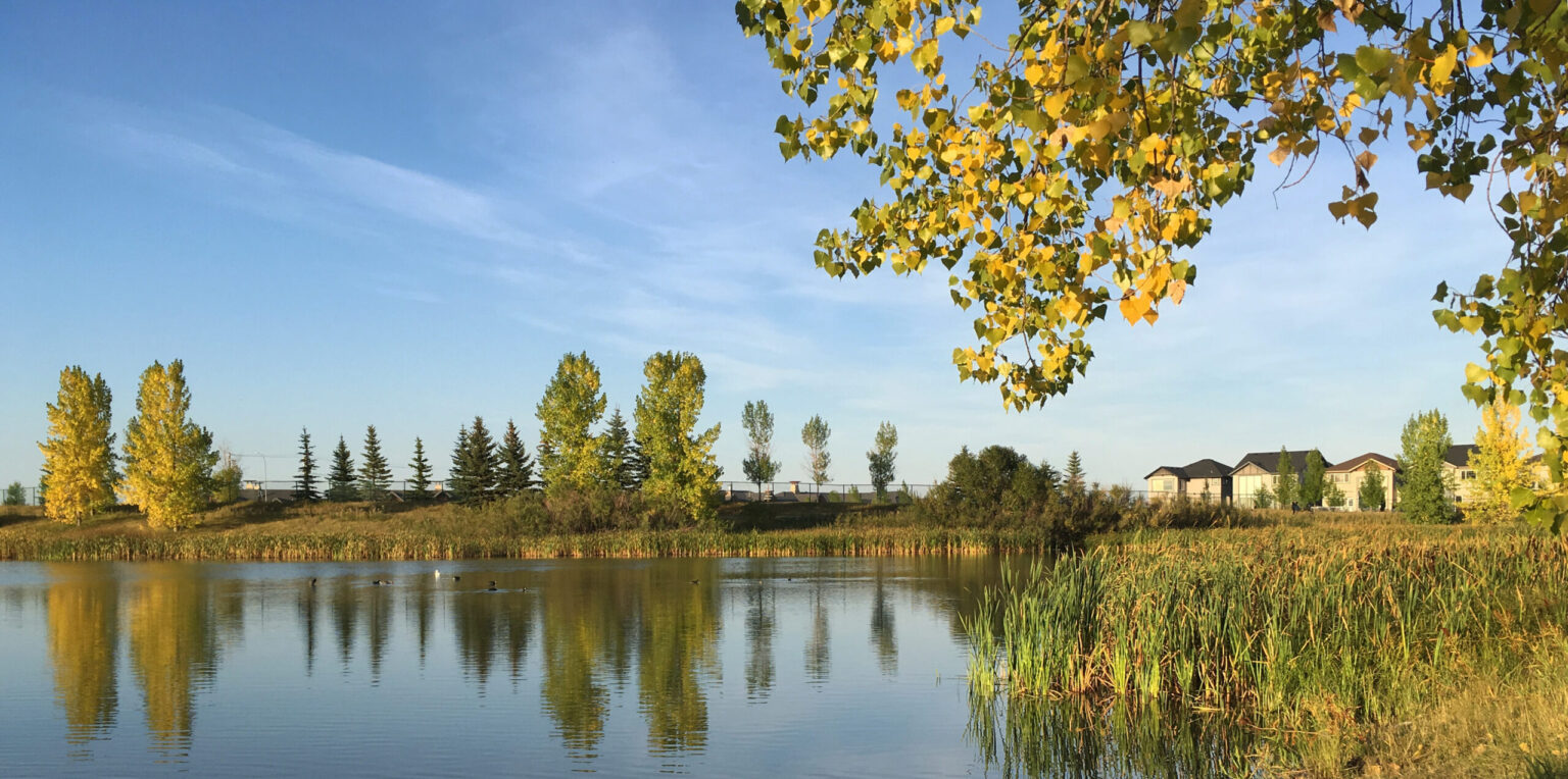 Stormwater pond in an area