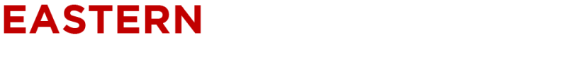 Eastern Sky Solutions Logo Inverted 2